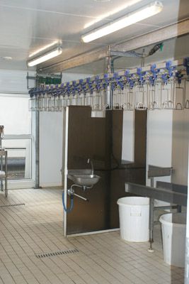 Vue du laboratoire de traitement des carcasses de lapin